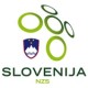 Slovenia 2024 Drakt